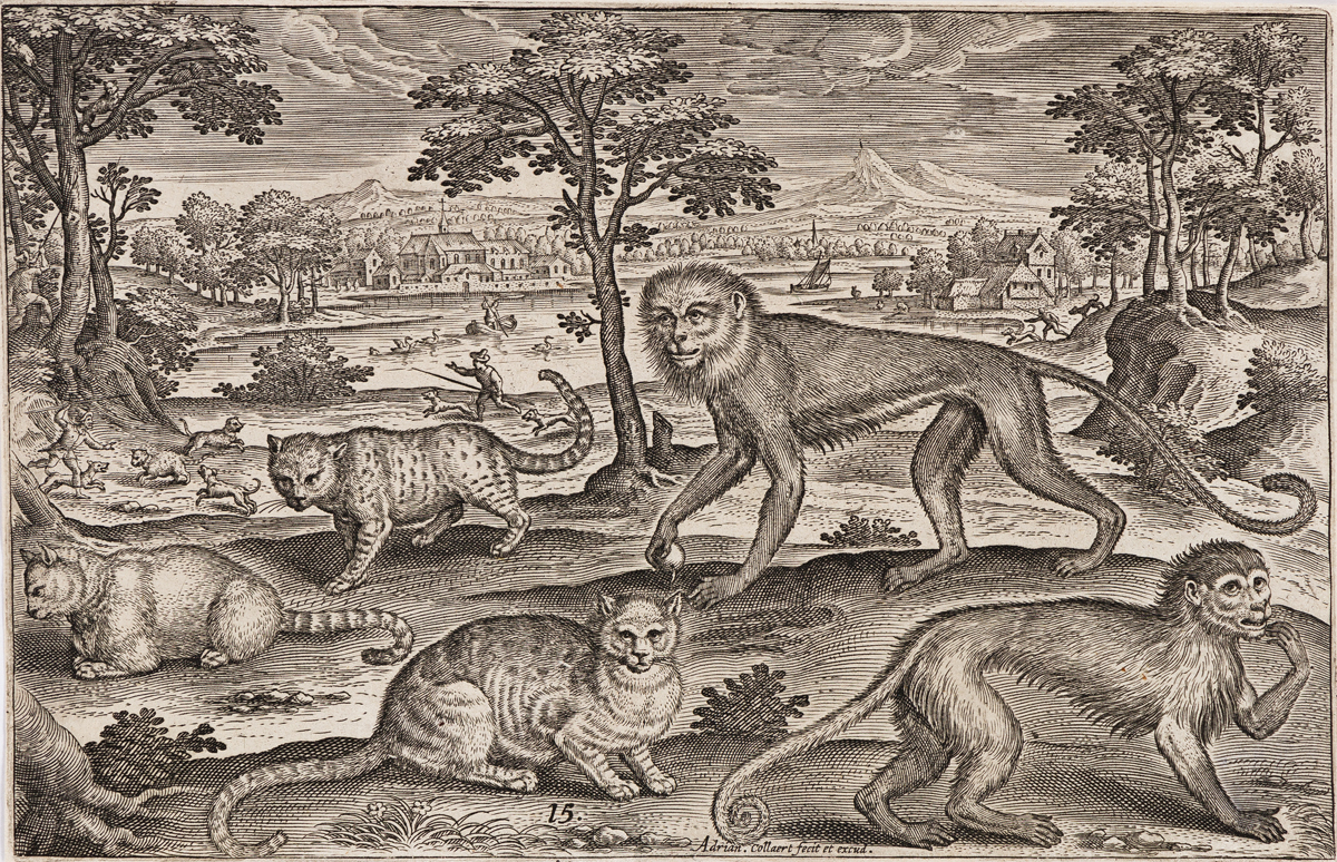 ADRIAEN COLLAERT Two engravings of animals.